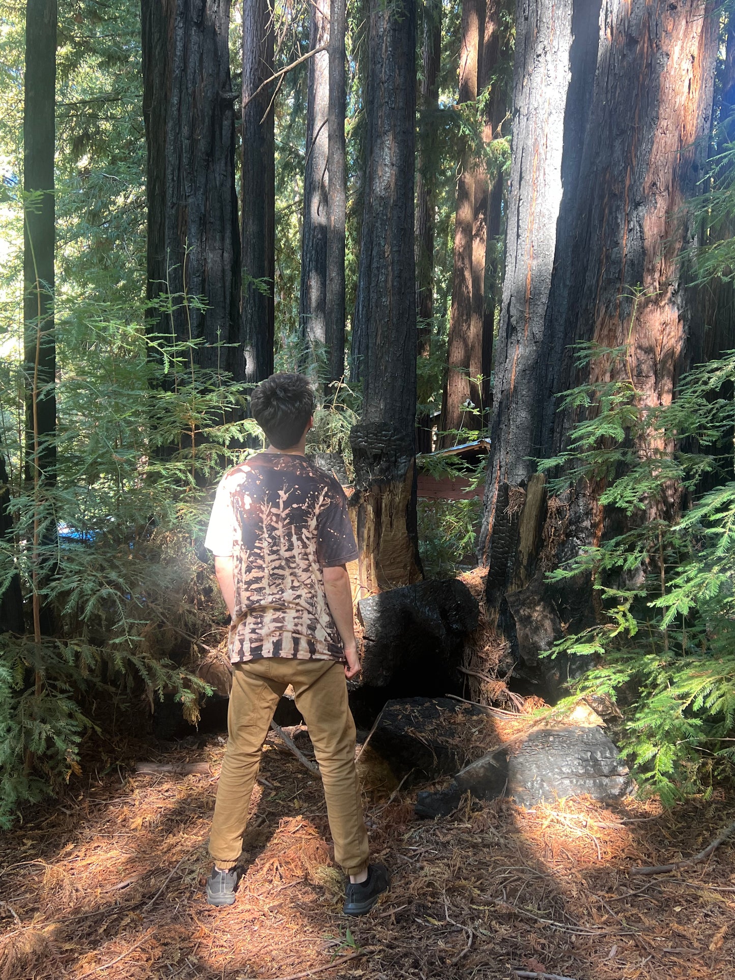 Redwood Fire Bleached Black T