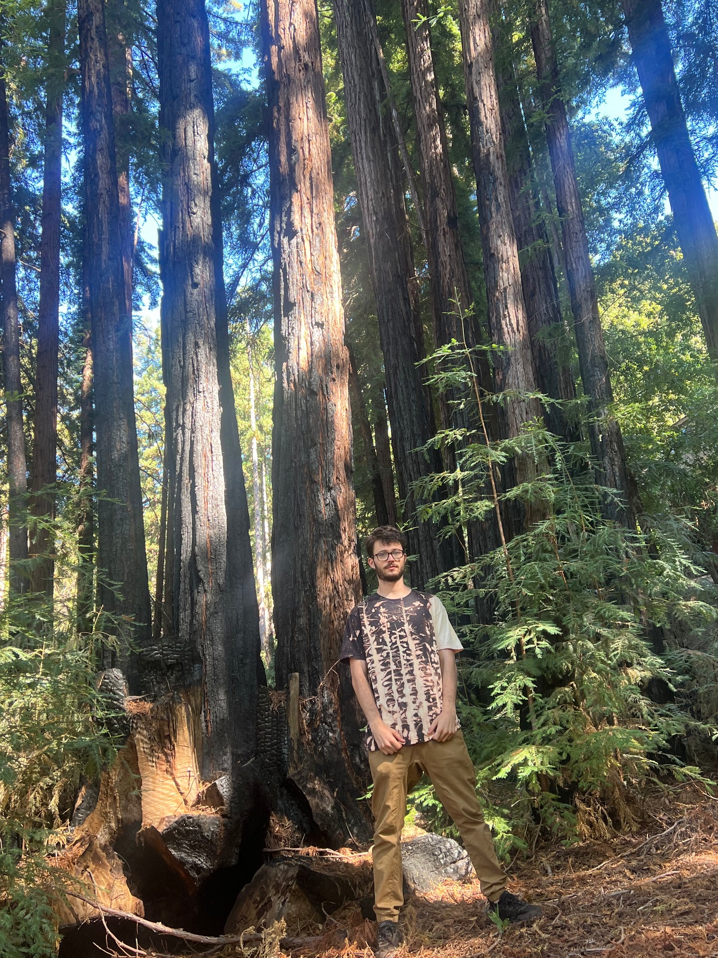 Redwood Fire Bleached Black T