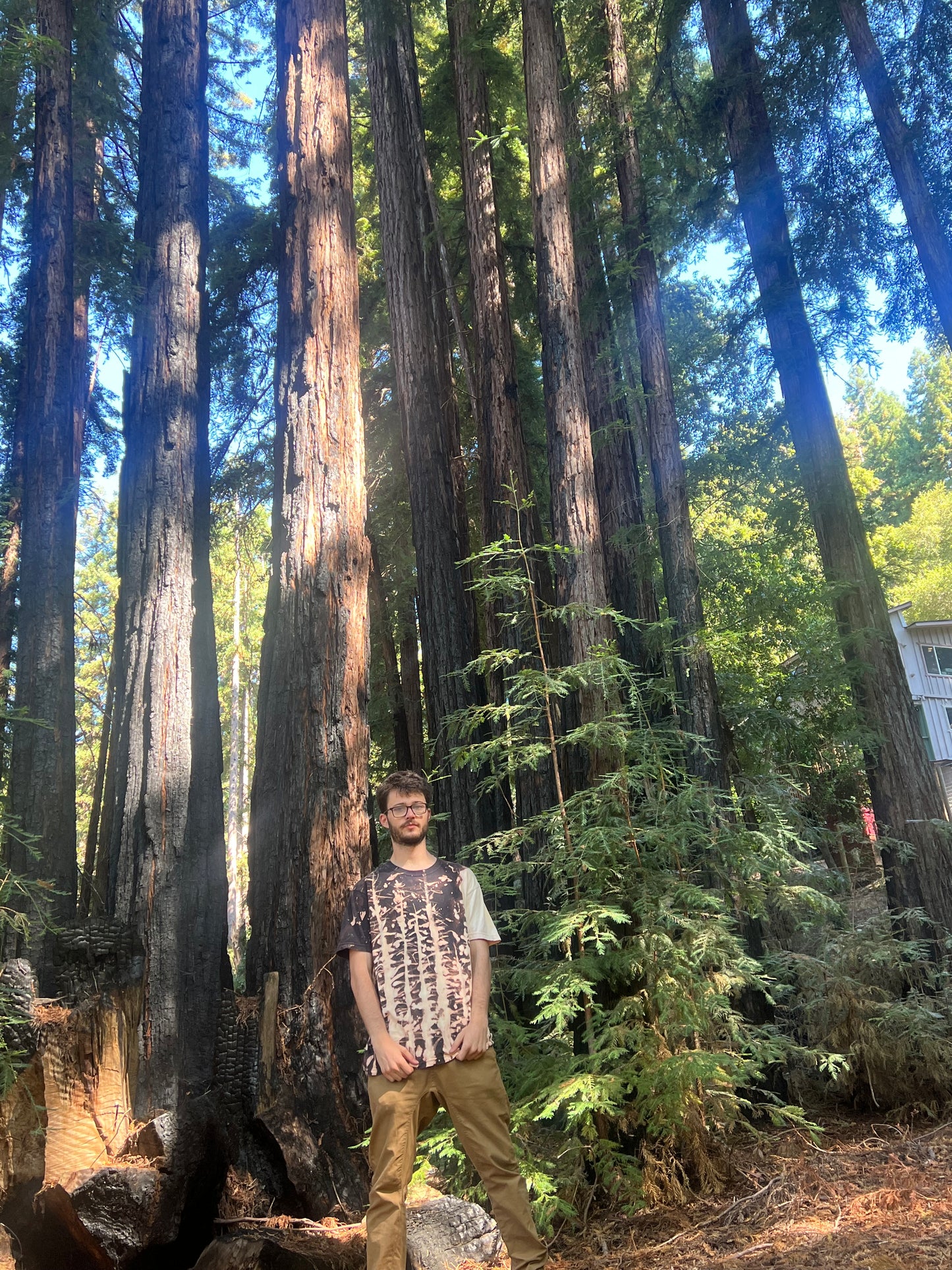 Redwood Fire Bleached Black T