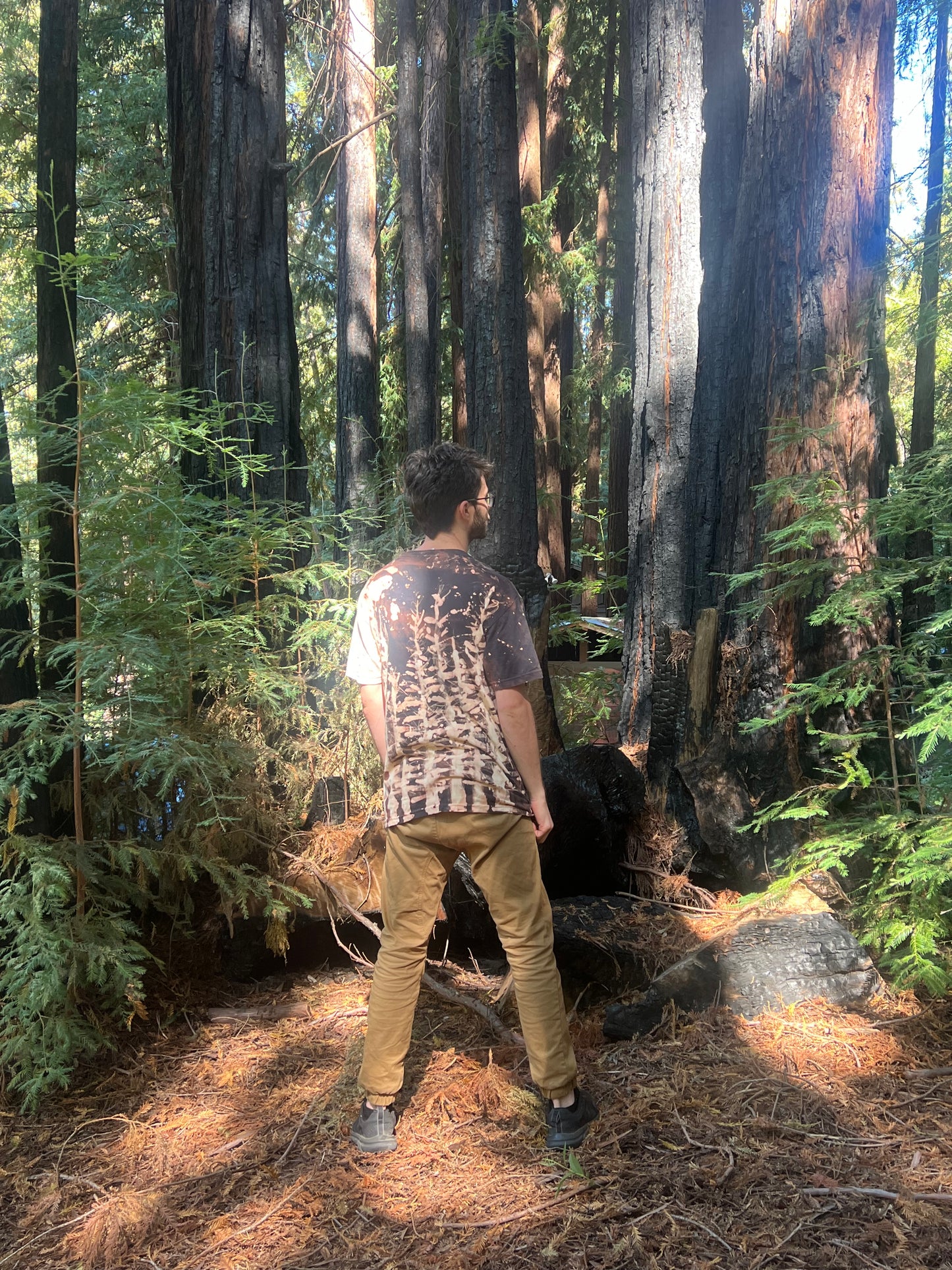 Redwood Fire Bleached Black T