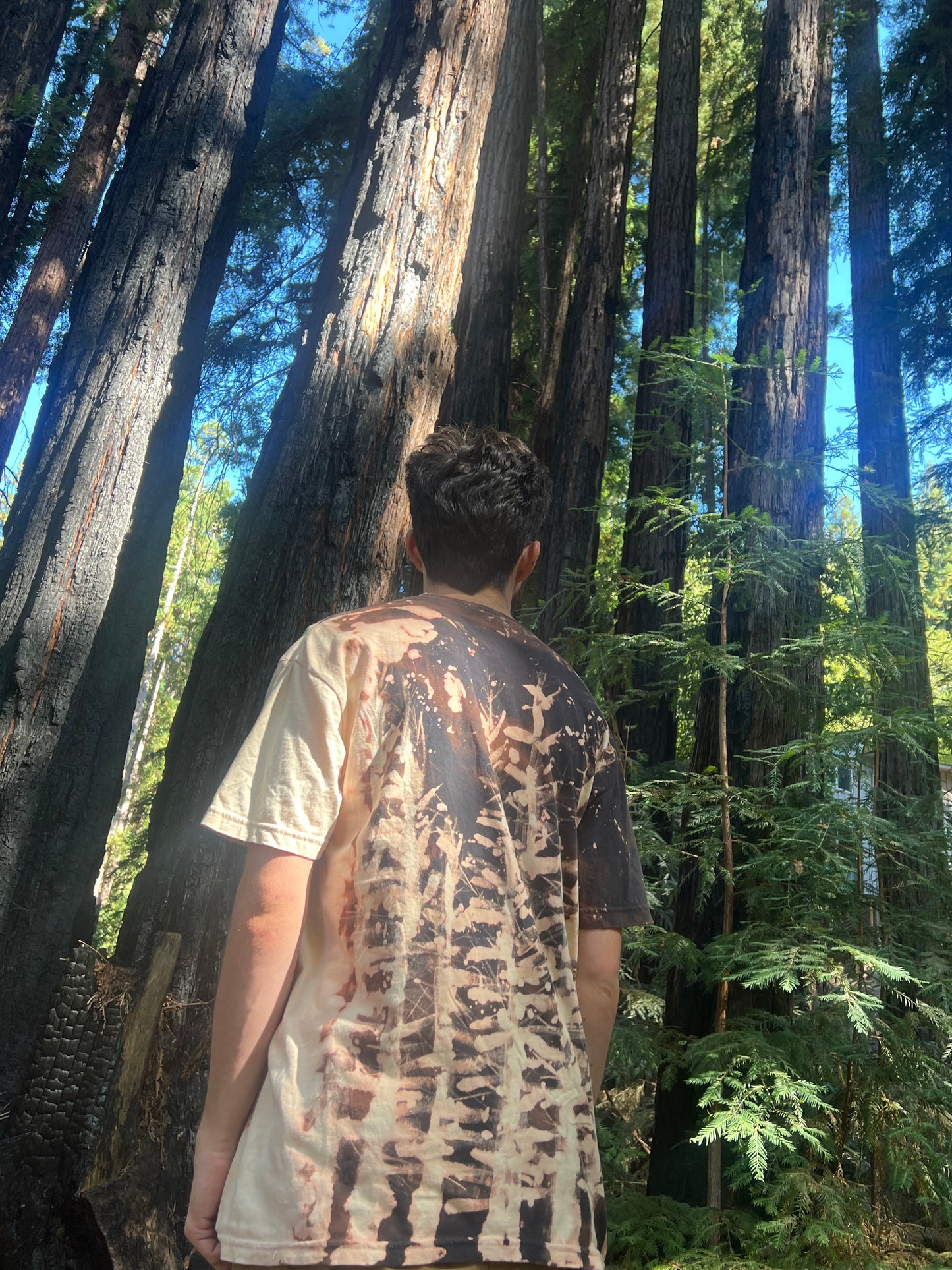 Redwood Fire Bleached Black T